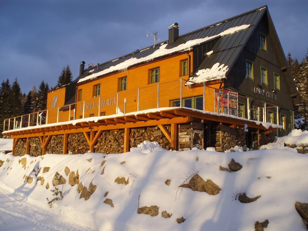 Lesni Chata Bedrichov  Exterior photo